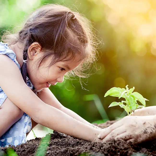 Grafik_nachhaltigkeit_stock