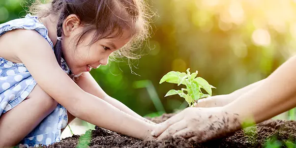 Grafik_nachhaltigkeit_stock